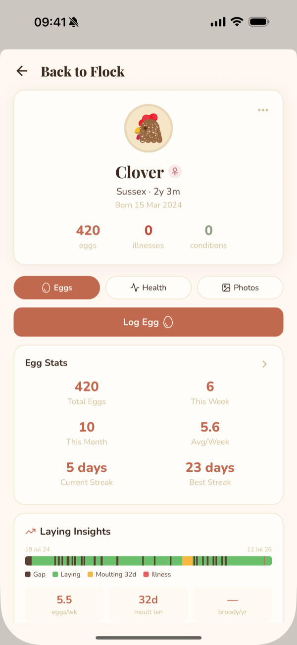 A hen's profile showing lifetime eggs, laying streaks and a two-year laying insights timeline