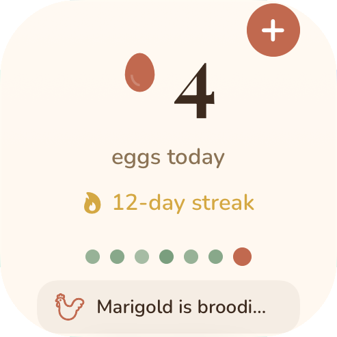Small Home Screen widget: 4 eggs today, 12-day streak, the week as dots and a +1 button